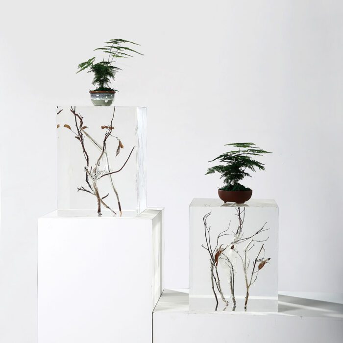 Clear Crystal Display Pedestal with Branches 1